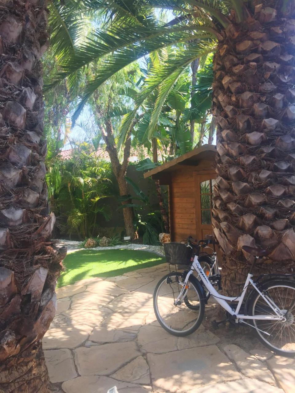 Villa De Lujo Con Jardines Y Piscina El Puerto de Santa María Exterior foto