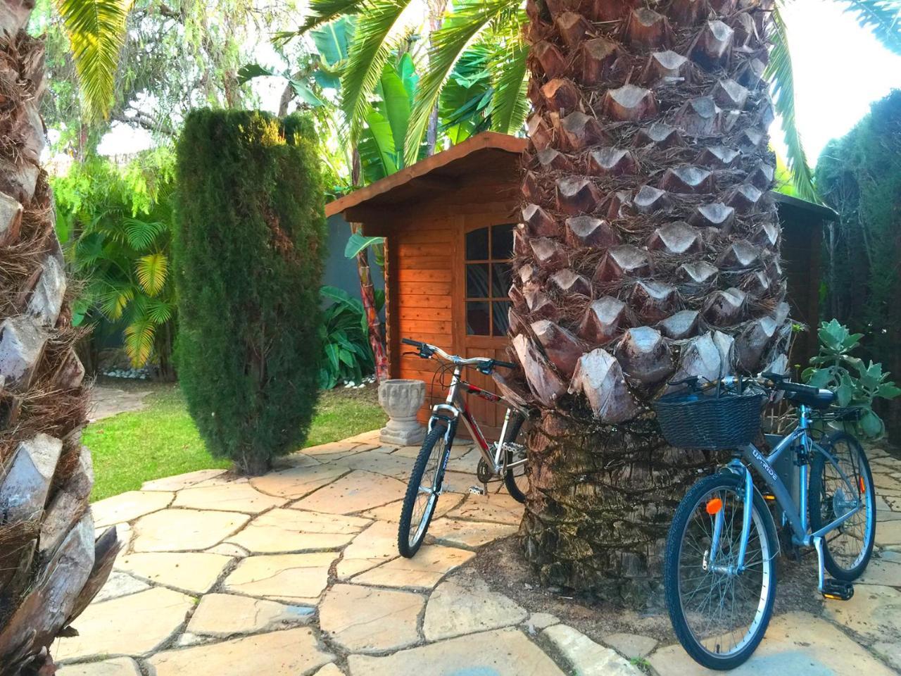 Villa De Lujo Con Jardines Y Piscina El Puerto de Santa María Exterior foto